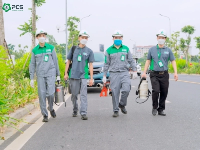 Cách đuổi gián trong phòng ngủ 